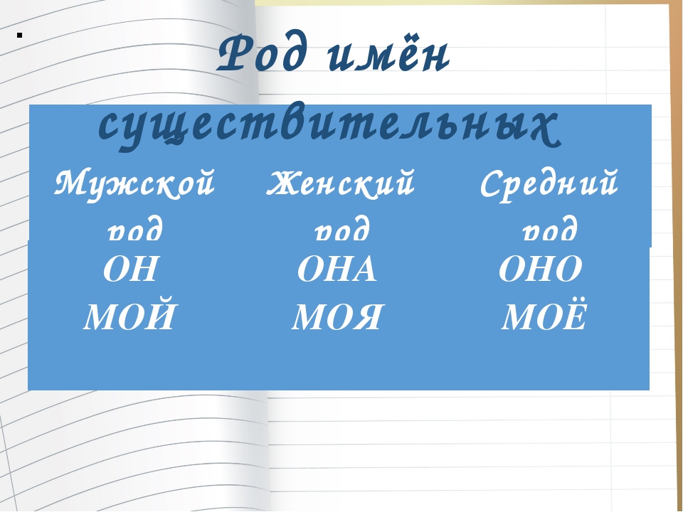 Средний род существительных в русском языке